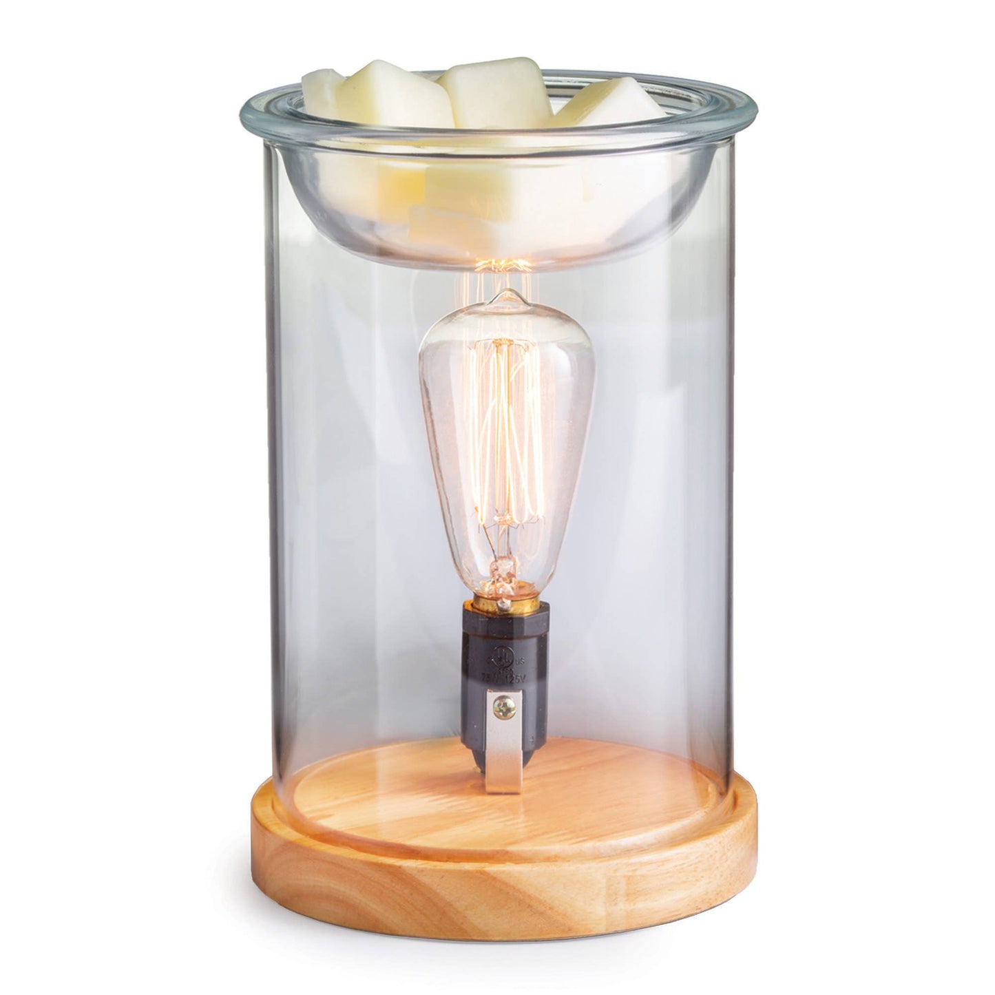 Vintage Bulb Illumination Warmers: Chicken Wire