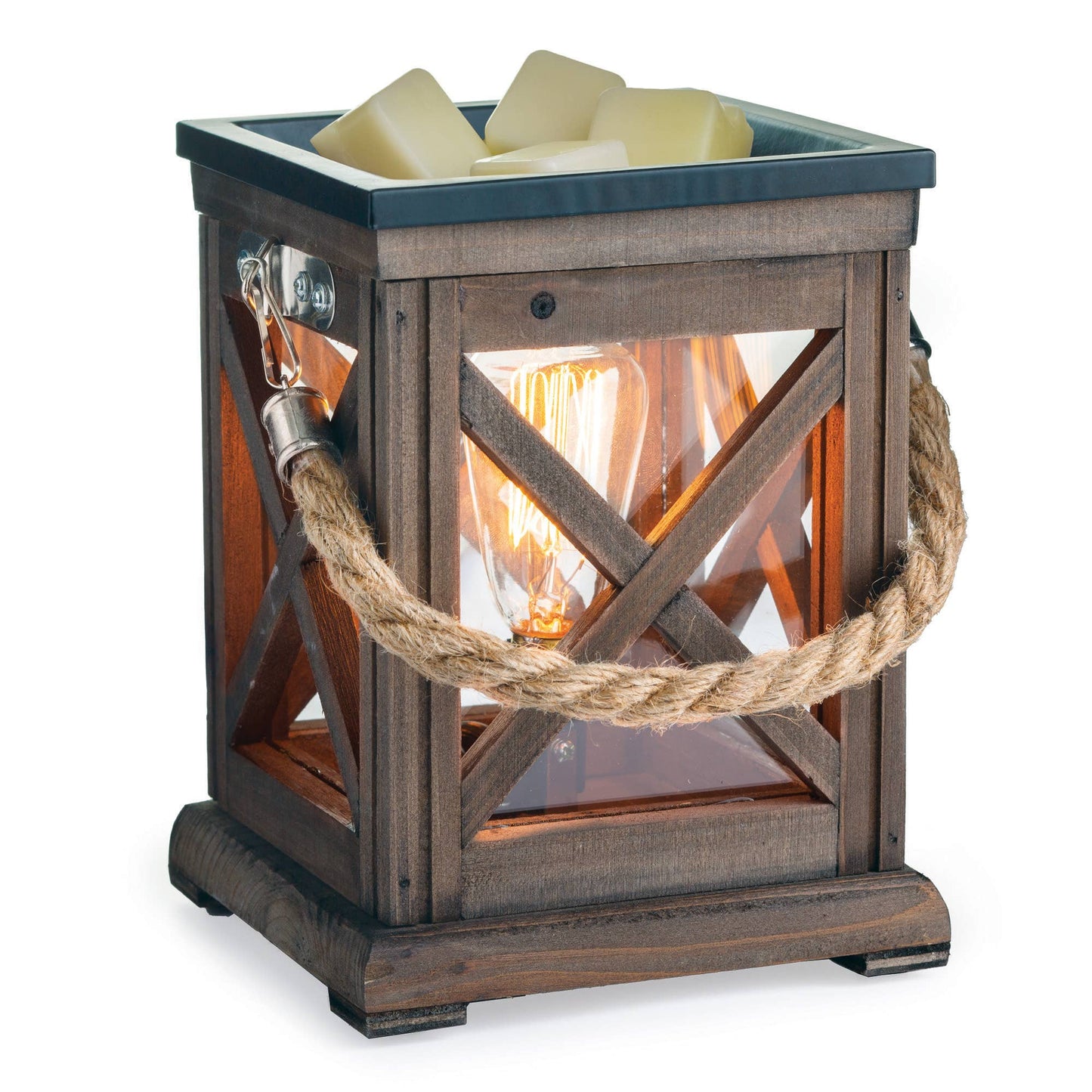 Vintage Bulb Illumination Warmers: Chicken Wire