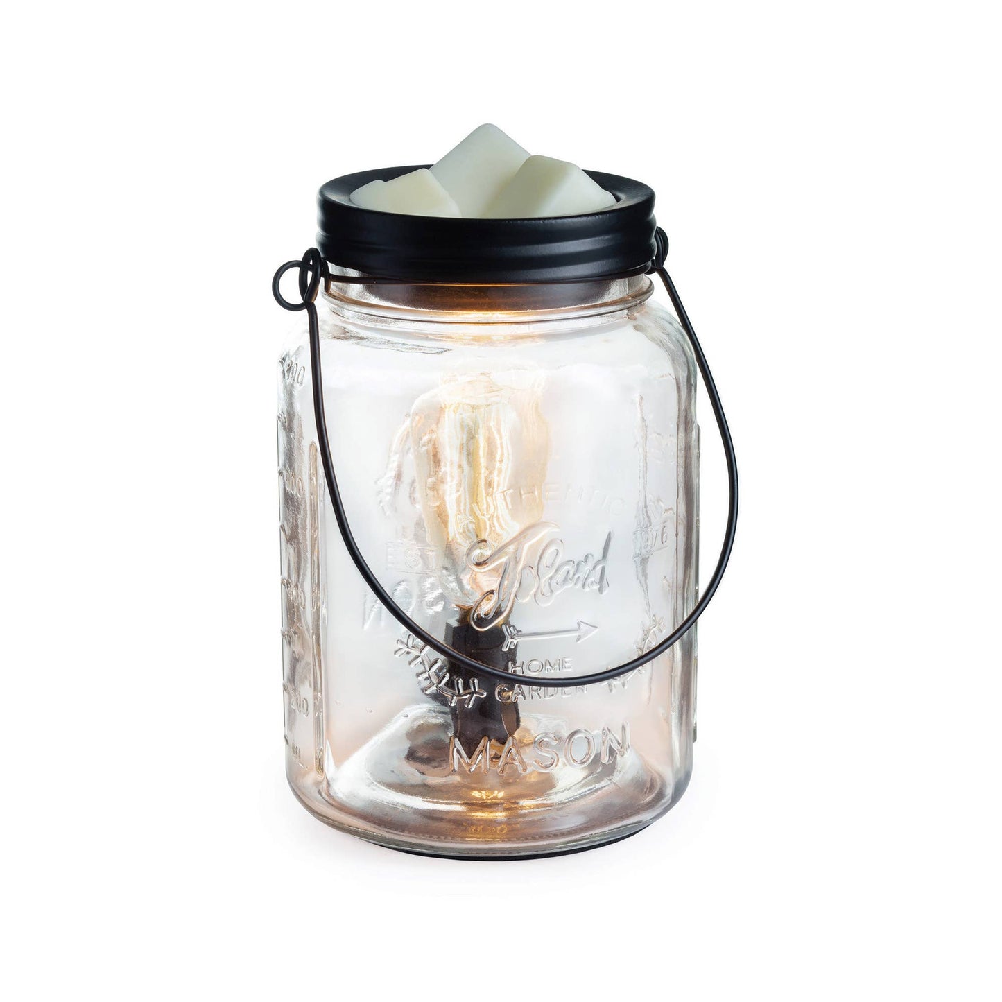 Vintage Bulb Illumination Warmers: Chicken Wire