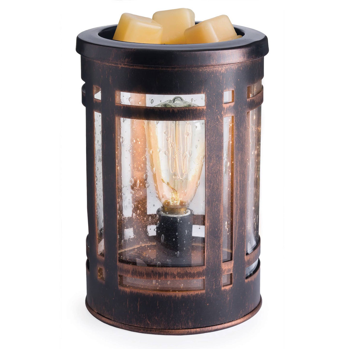 Vintage Bulb Illumination Warmers: Chicken Wire