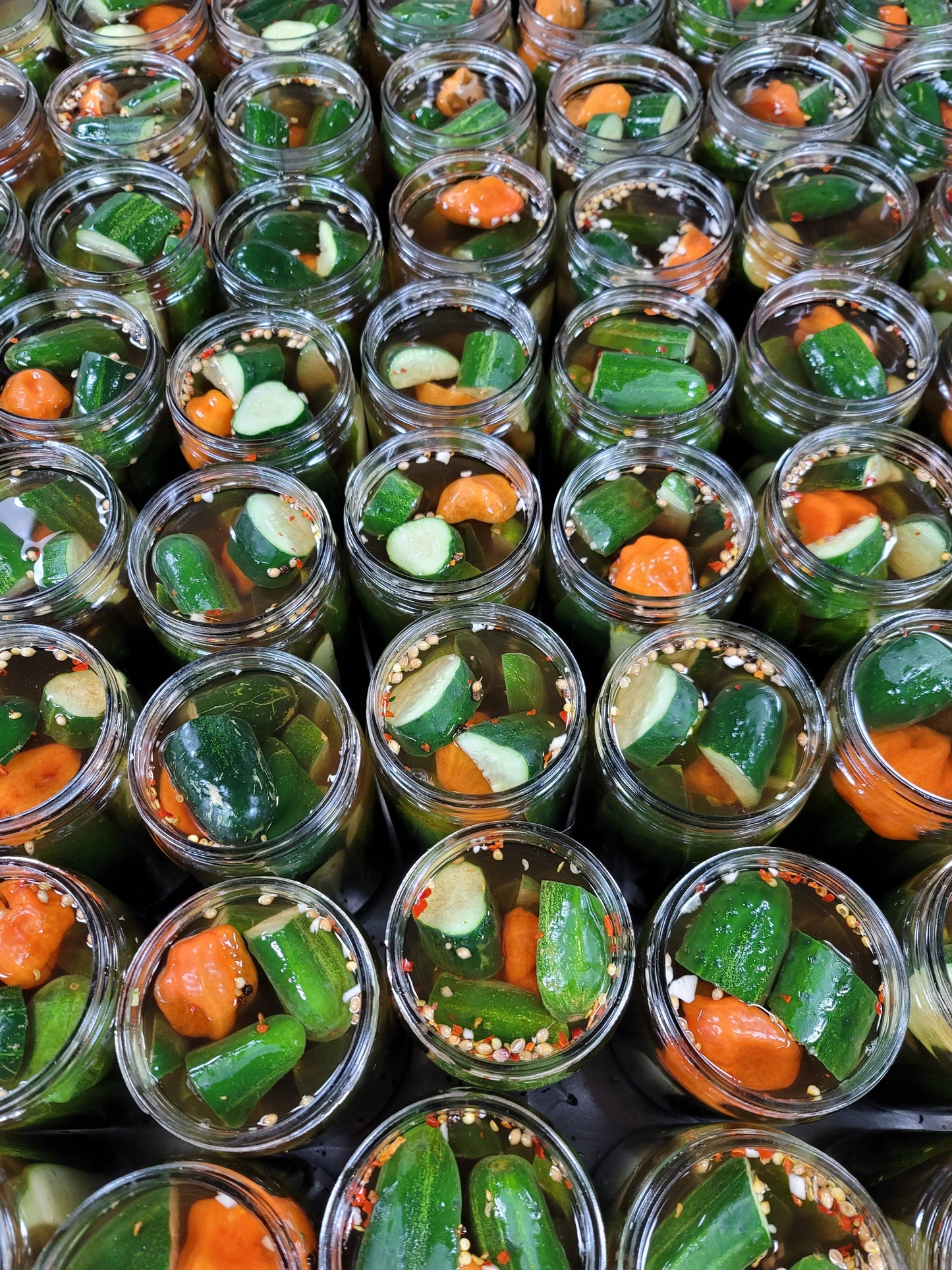 Kilhaney's Pickles - Spicy Garlic Dill 16oz