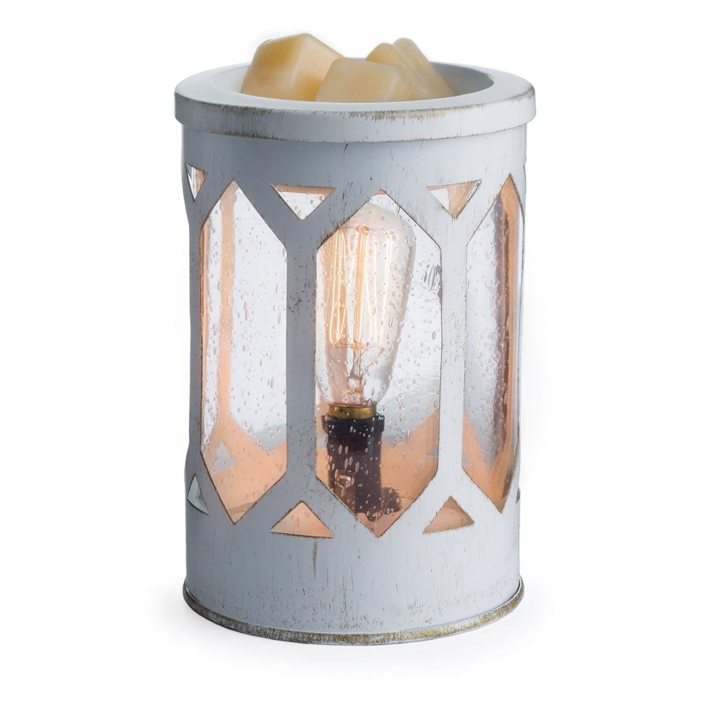 Vintage Bulb Illumination Warmers: Chicken Wire