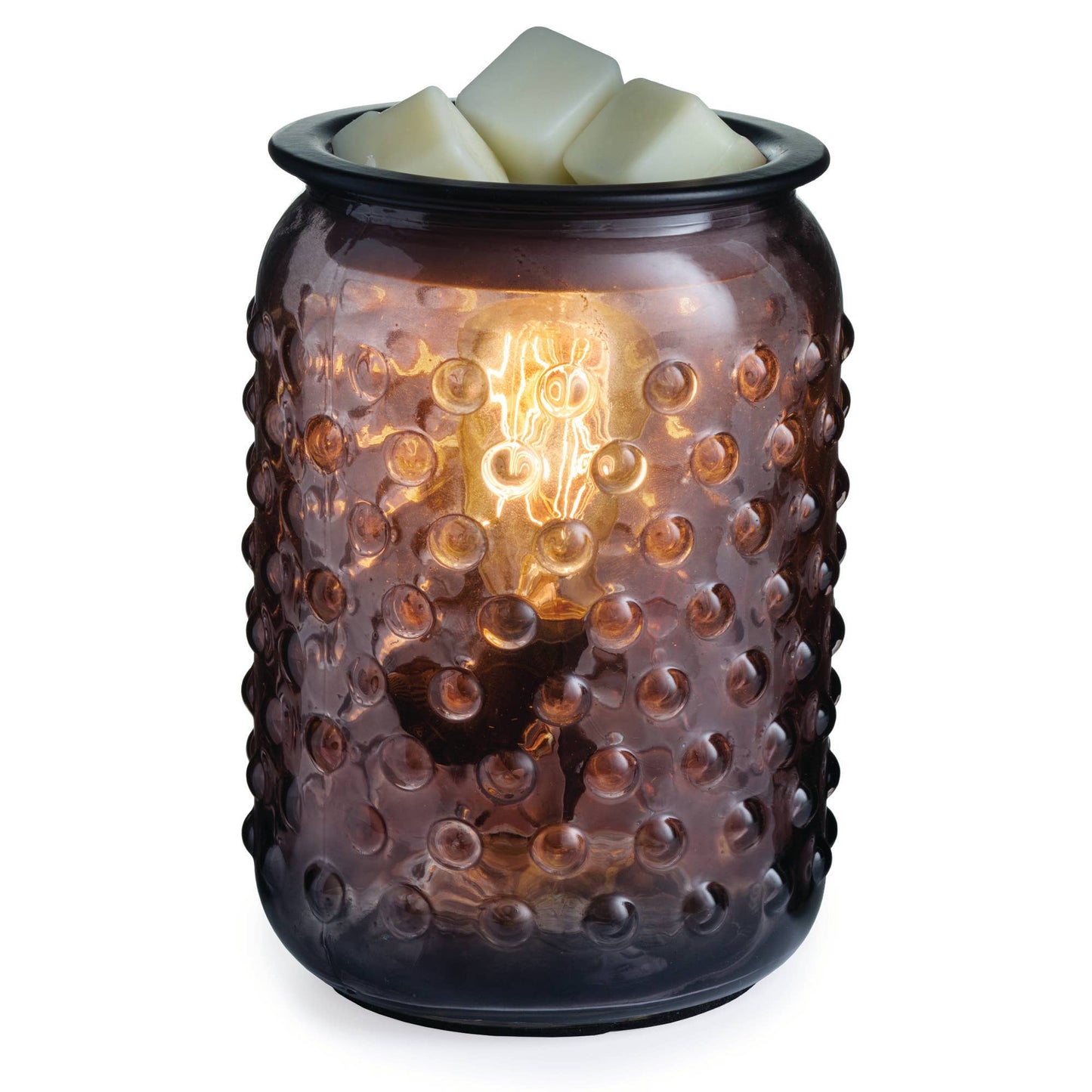 Vintage Bulb Illumination Warmers: Chicken Wire