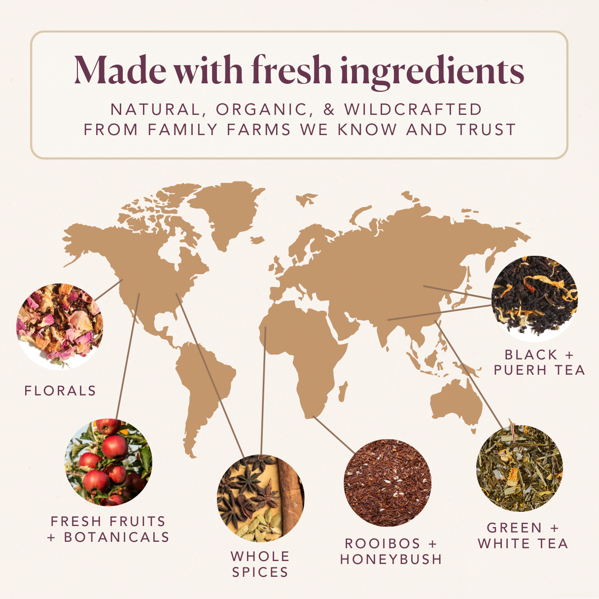 Plum Deluxe Tea - Heritage Blend Scottish Breakfast Black Tea with Maple