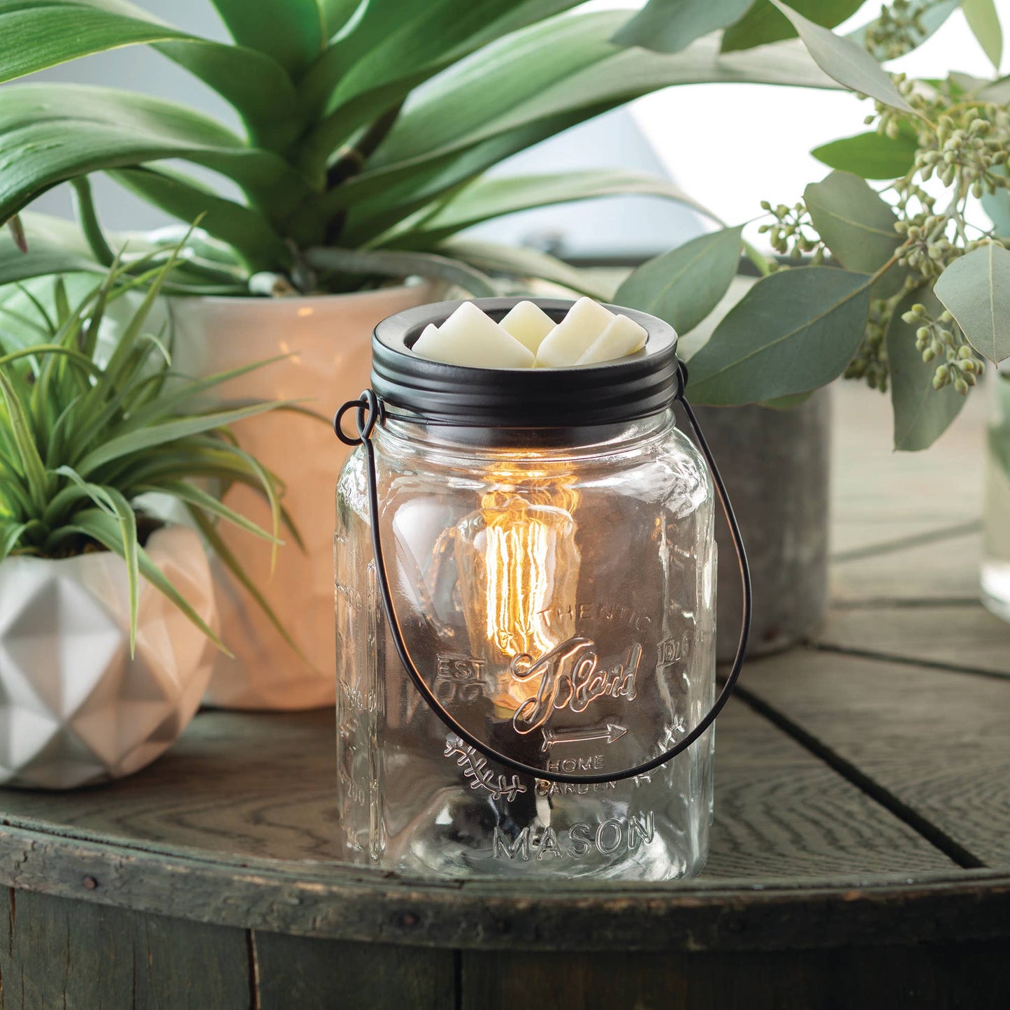 Vintage Bulb Illumination Warmers: Chicken Wire