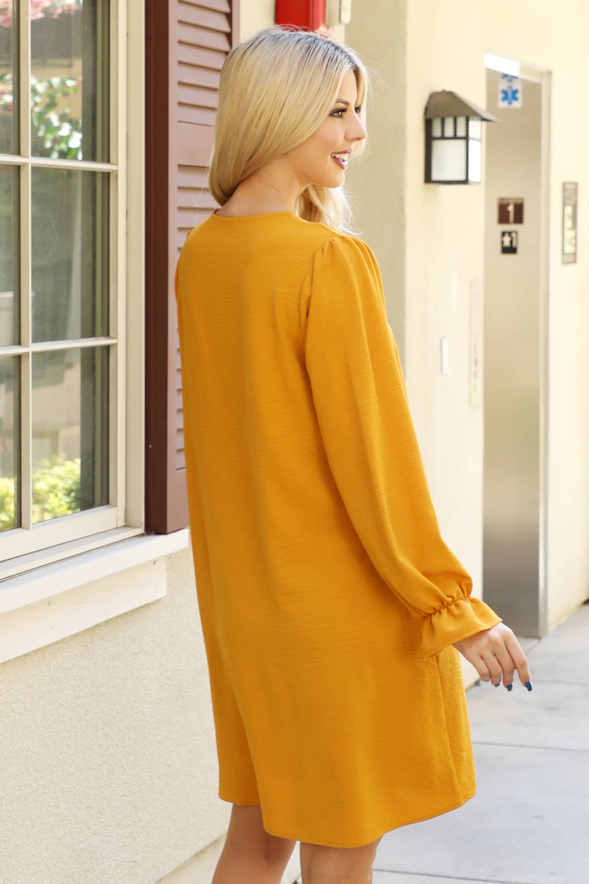 Collared neckline woven dress