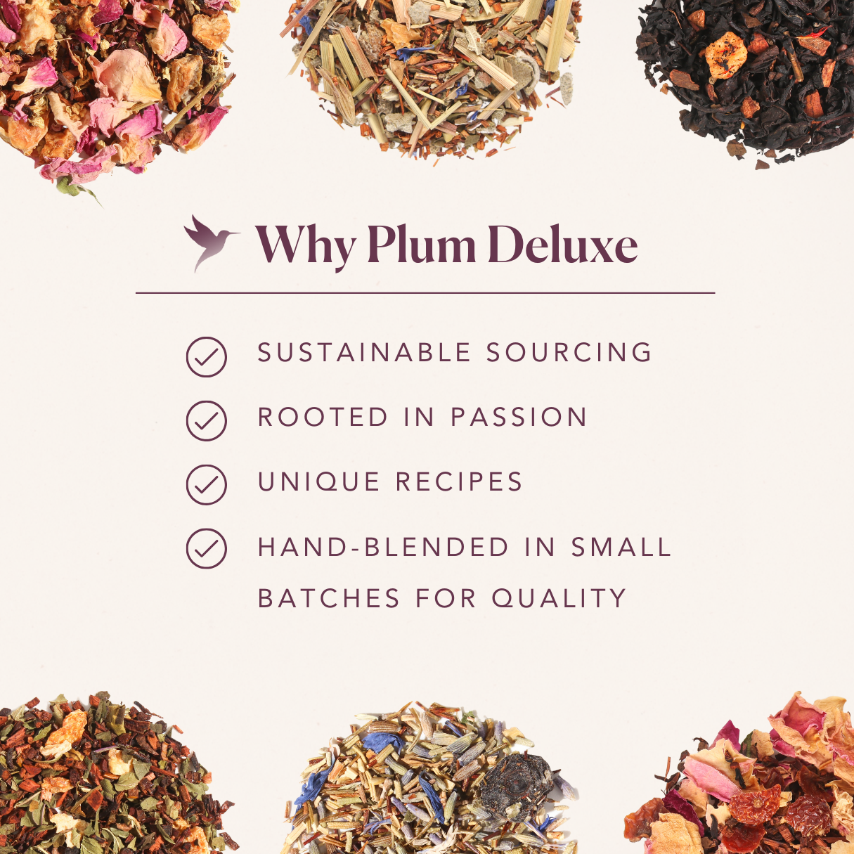 Plum Deluxe Tea - Strawberry Echinacea Immunity Herbal Loose Leaf Tea