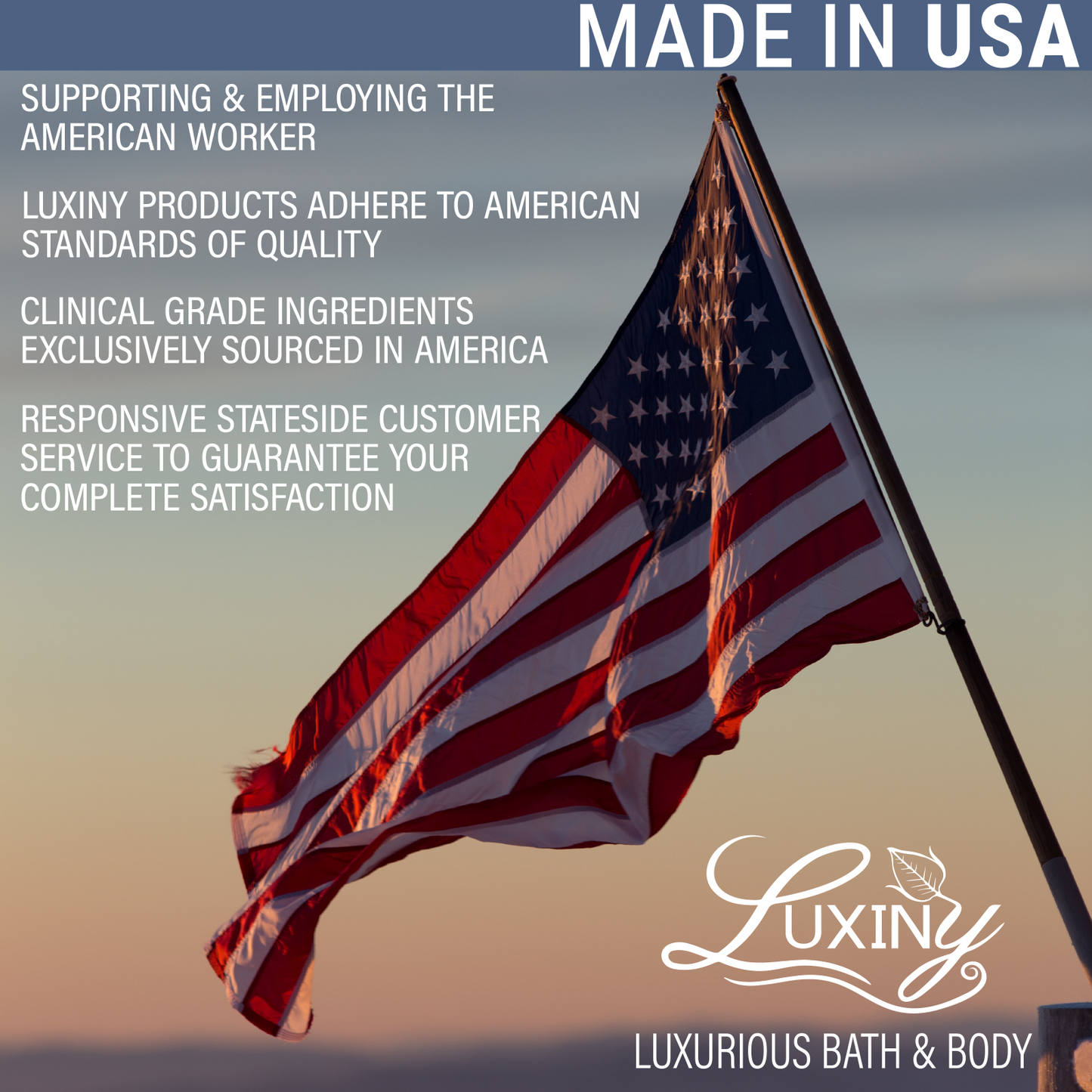 Luxiny Solid Shampoo - 3 in 1 Conditioner, and Body Wash - Bay Rum