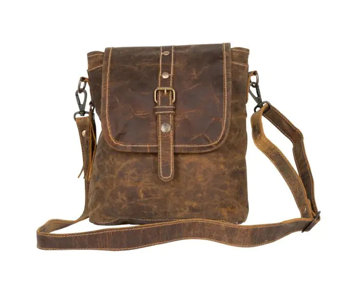 Brown Beauty Leather Bag