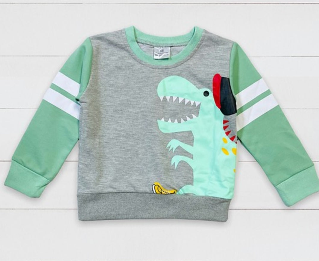 Boy's Gray Dinosaur Printed Sweater